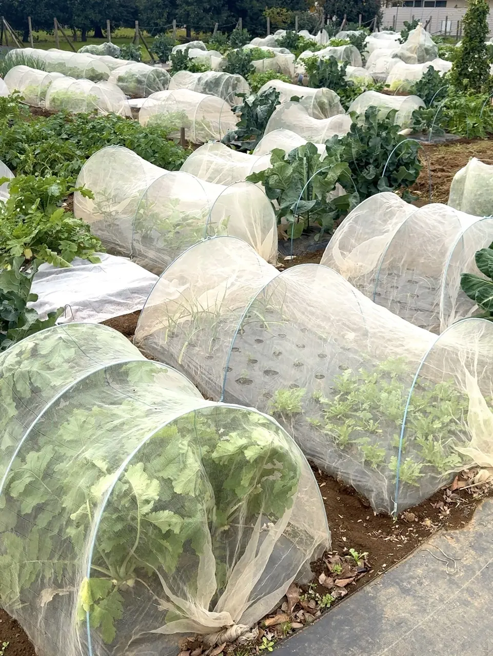 心のラグジュアリー" が育つ時間 02