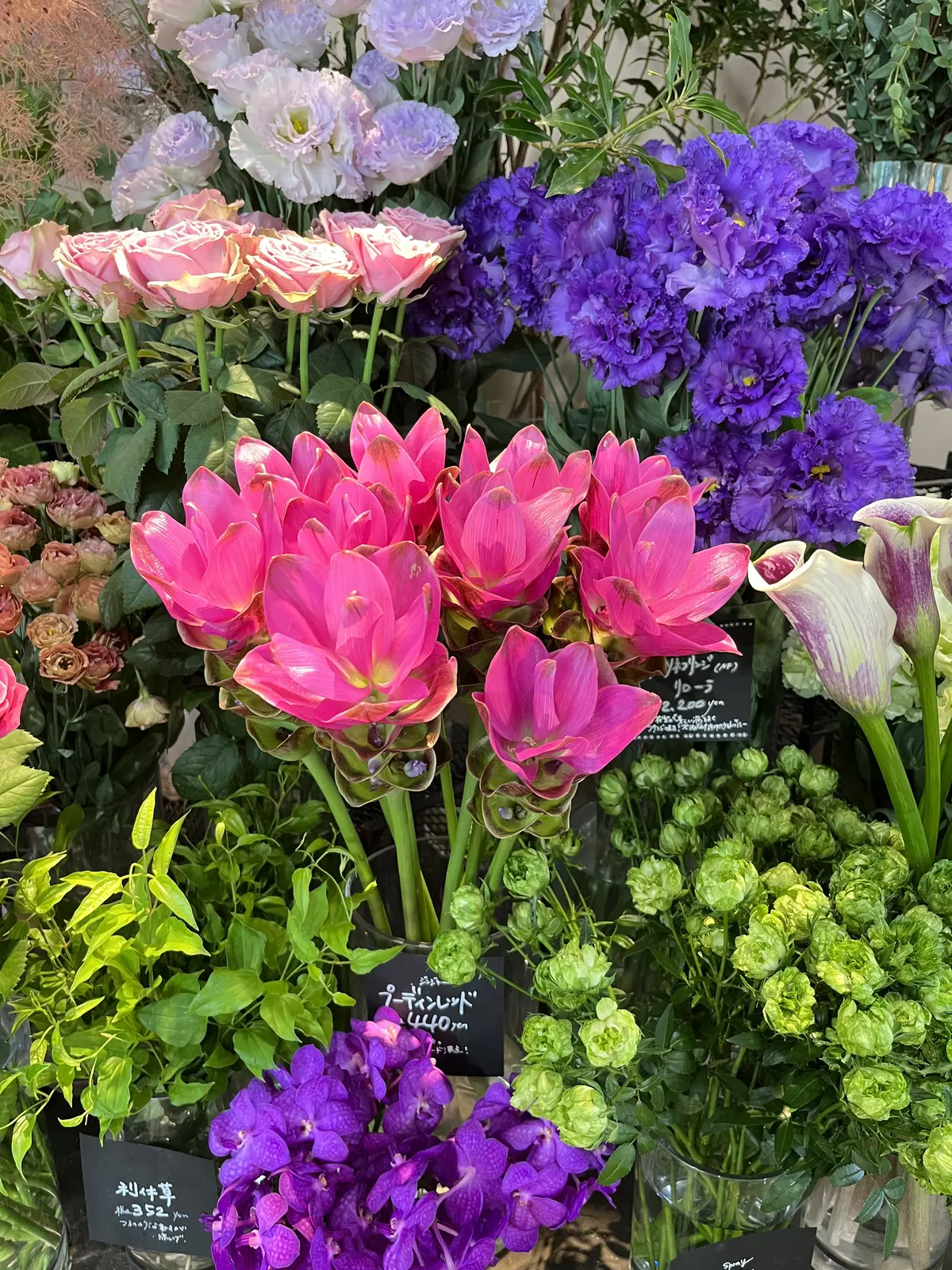 青山でヒマワリを楽しむの画像_14