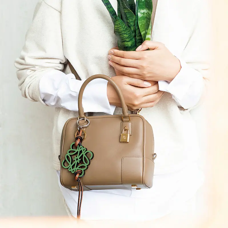 LOEWE（ロエベ）のアイコンバッグ「アマソナ」