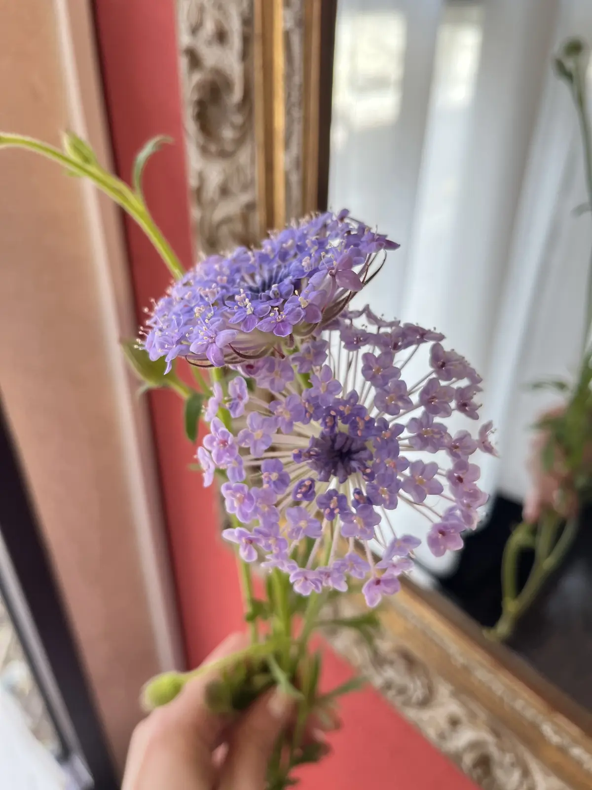 楽しみにしていた桜のブーケを束ねにの画像_7