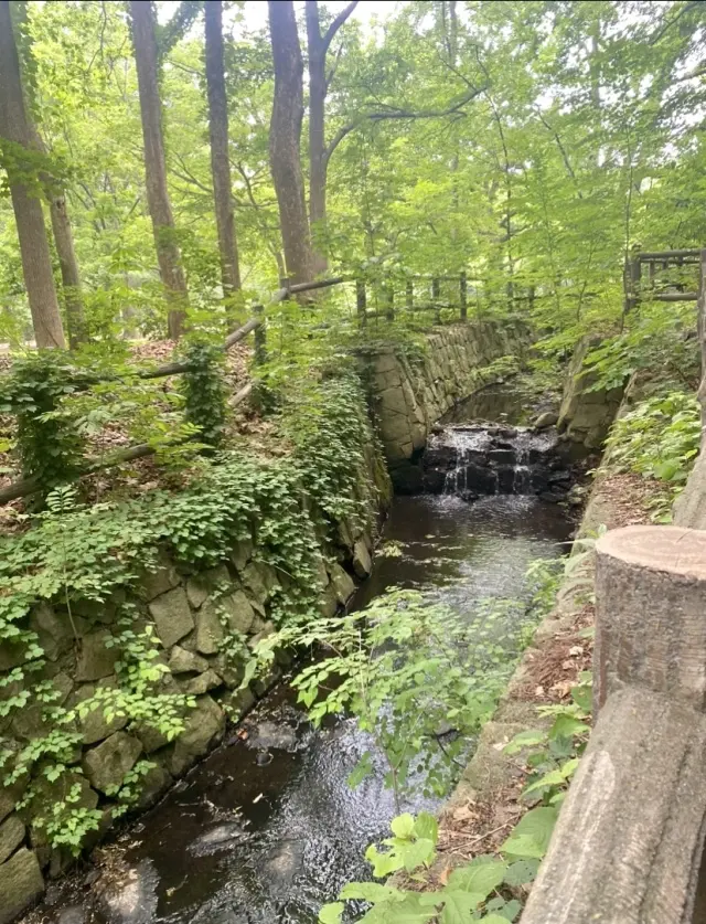 自然の中で、のんびりと過ごすことの贅沢✨の画像_5