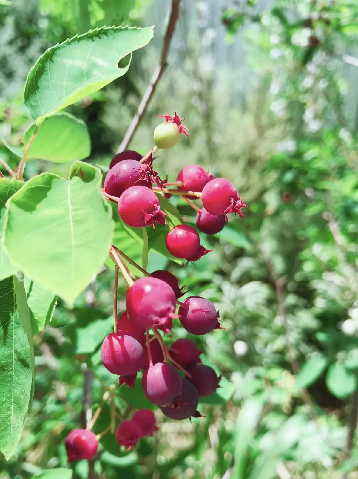 「いつも」の当たり前が幸せ。の画像_8