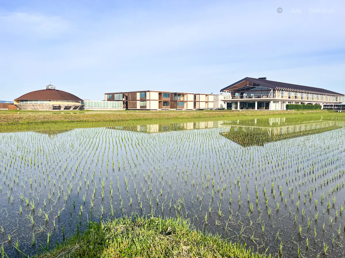 【さかぽんの冒険】カエルのオーケストラとの画像_1