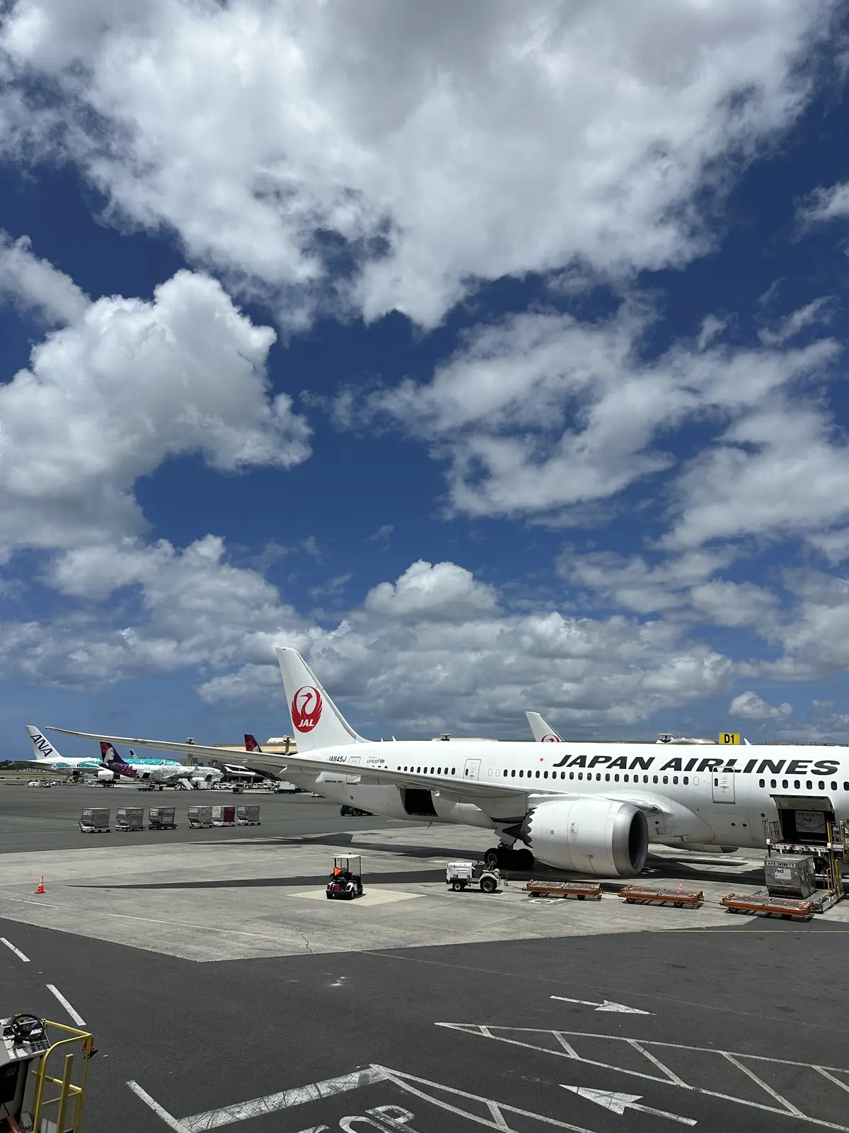 Hawaii day 8. 9の画像_11