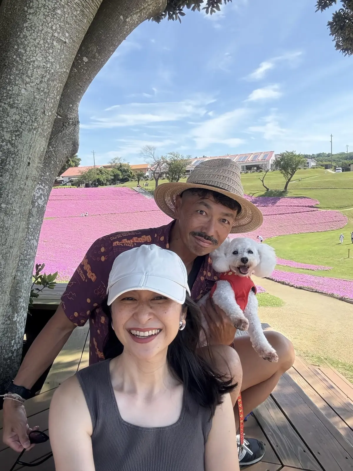 千葉県　観光名所　富津市　マザー牧場　花の谷　桃色吐息　家族と記念写真