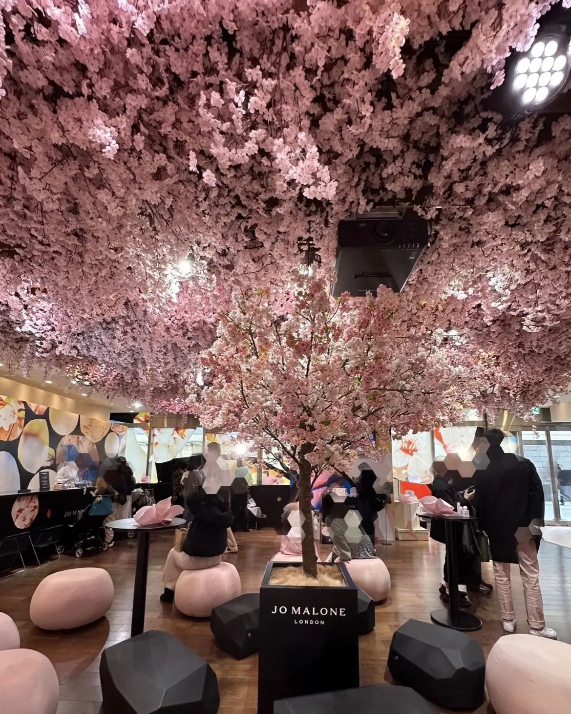 桜　お花見気分