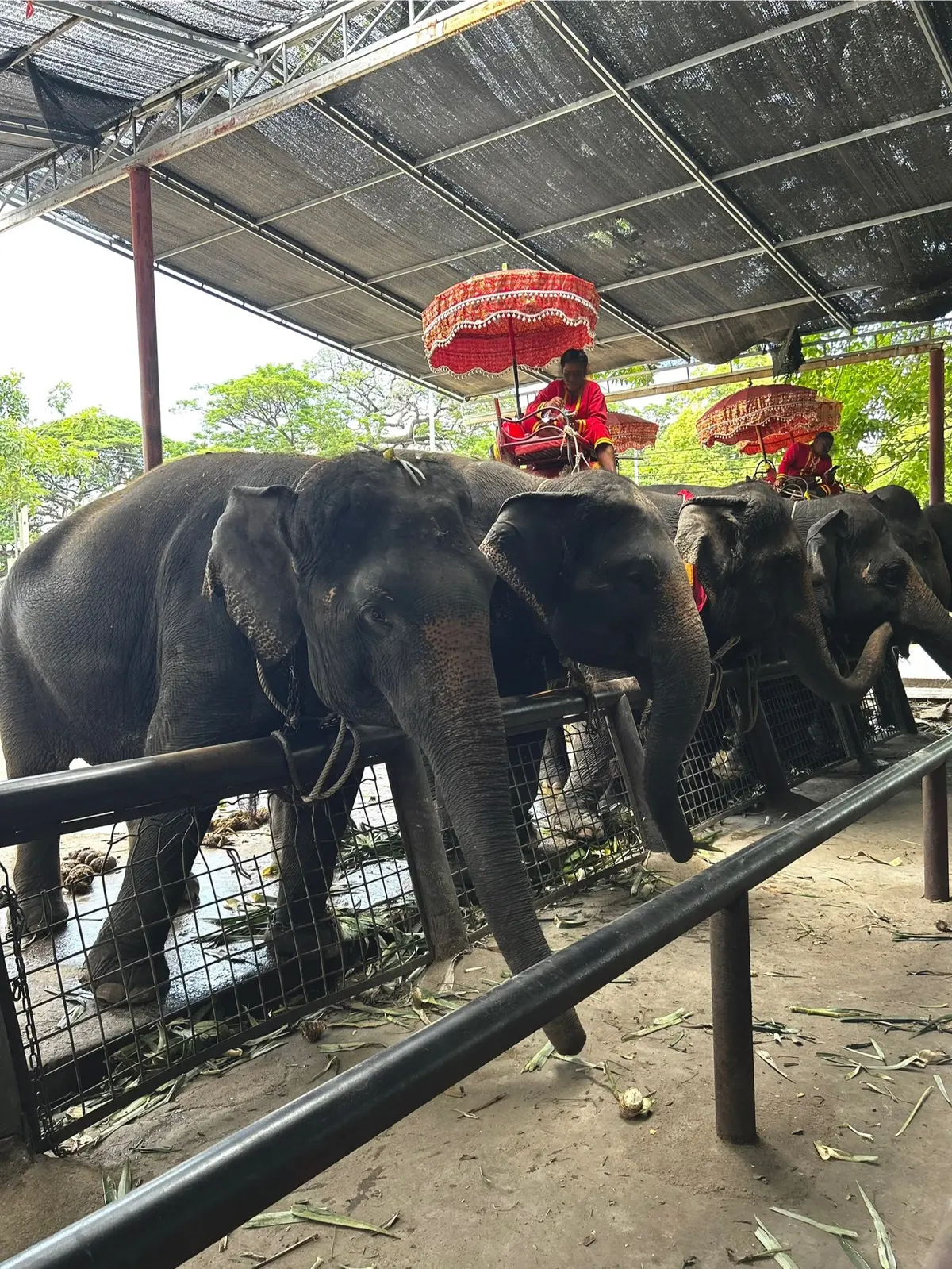 アユタヤ王朝の遺跡巡り｜タイ  世界遺産の画像_33