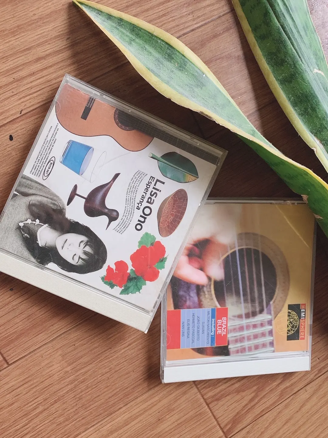 夏はBossa Nova！の画像_1