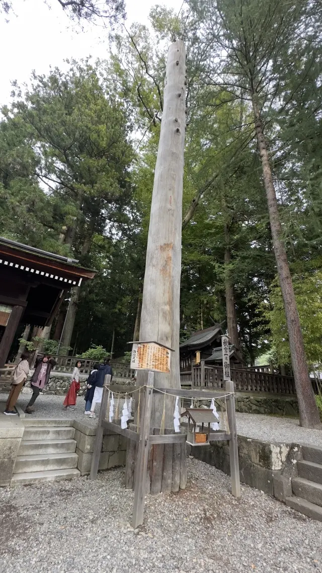 ブラウンＶネックラメカーディガンで、長野の画像_6