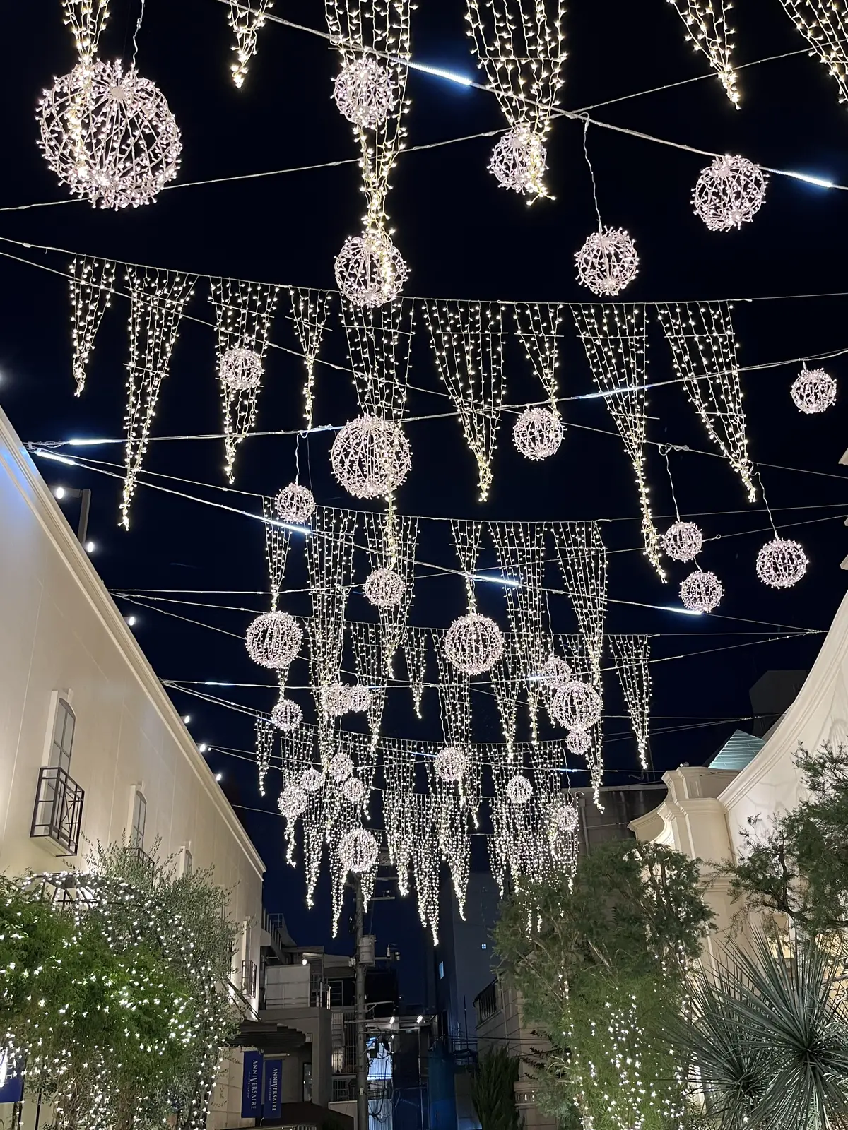 ドキドキワクワクの11月21日⭐︎の画像_8