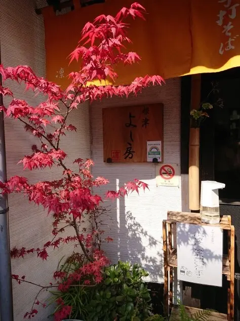 根津　よし房　凛