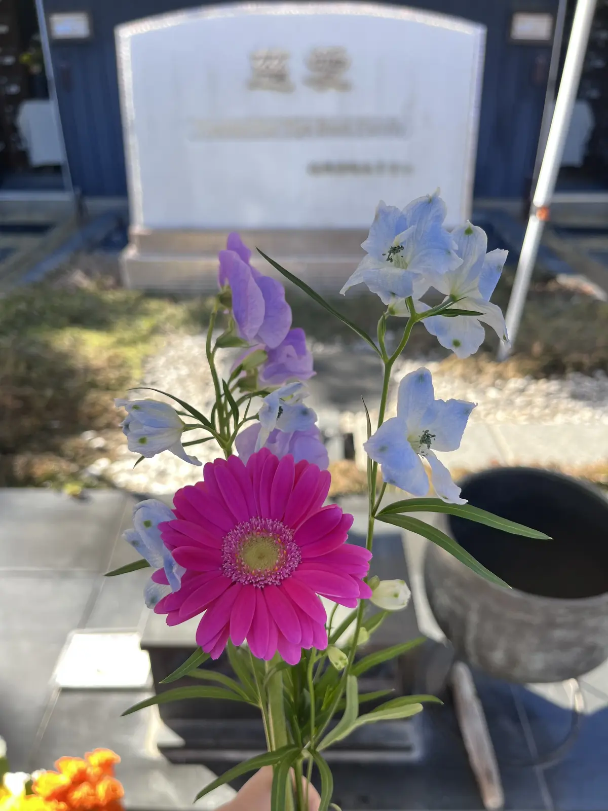 今年最初の3連休はの画像_1