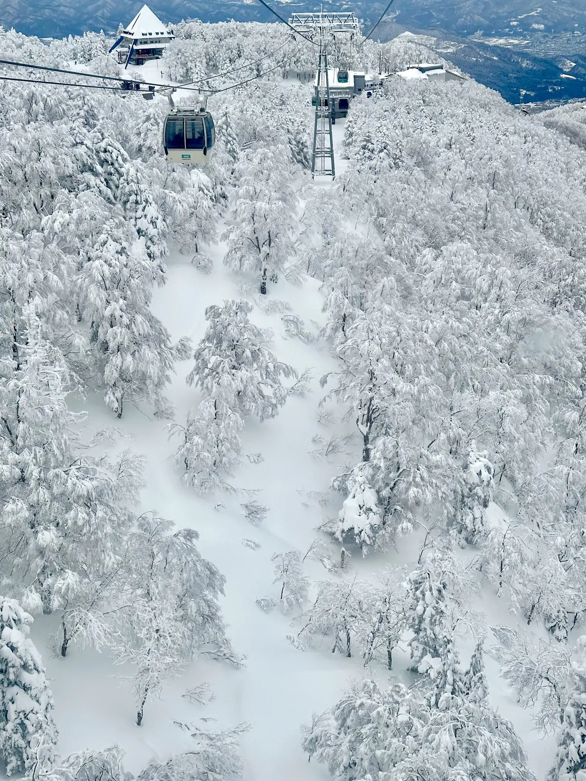 樹氷と美肌の湯を楽しむ♡山形県蔵王への旅の画像_27