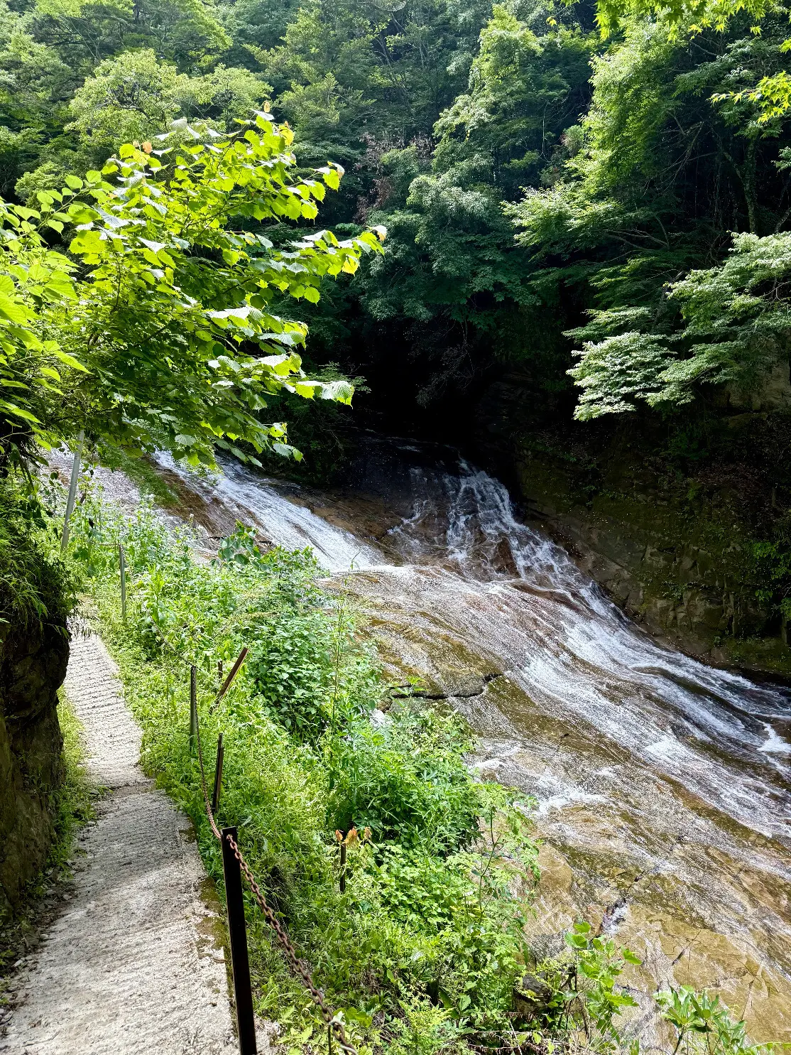 千葉県　観光名所　養老渓谷　滝　粟又の滝　川　水のある風景