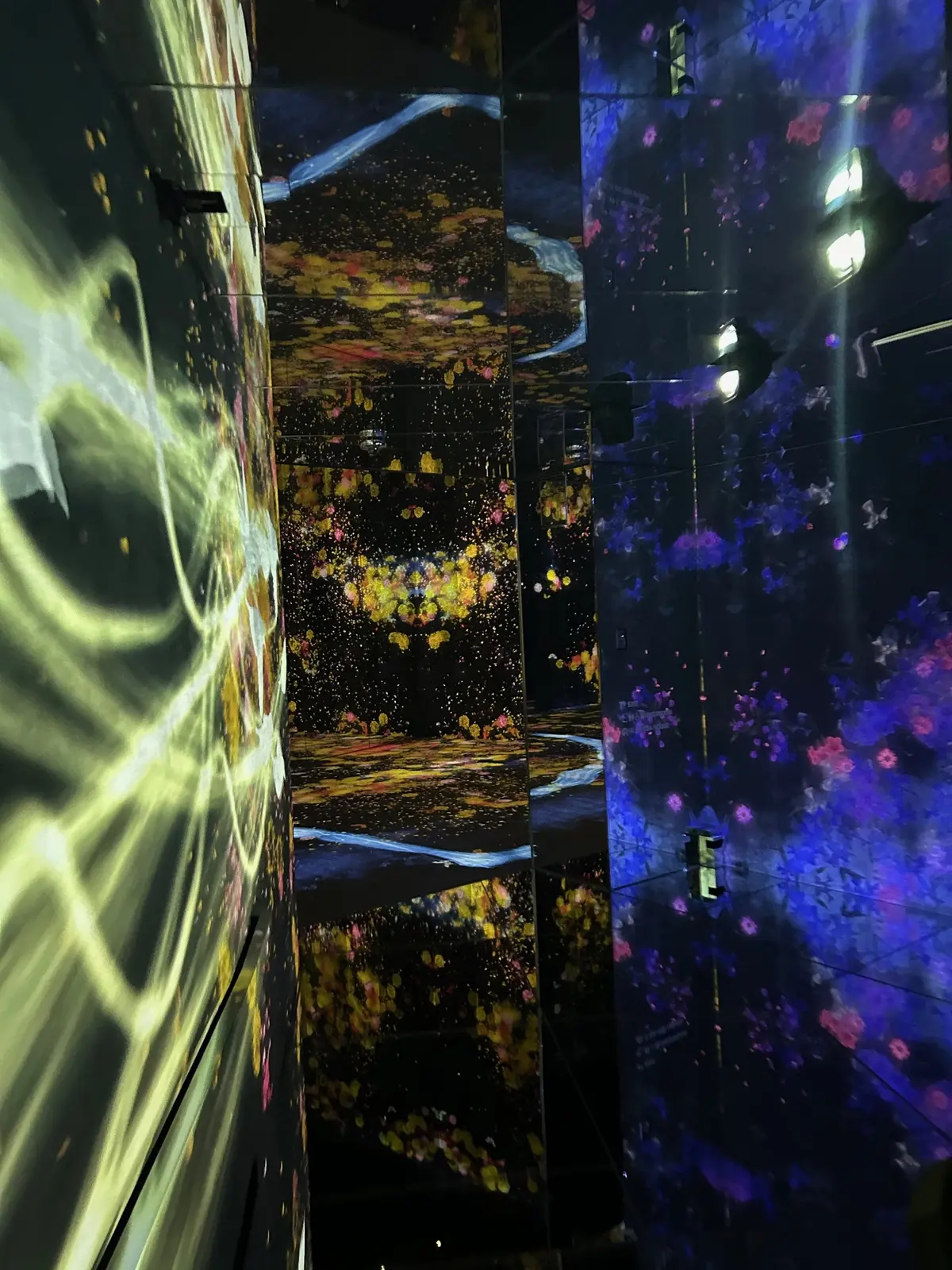 展示会 ”エプソン チームラボボーダーレス”の様子