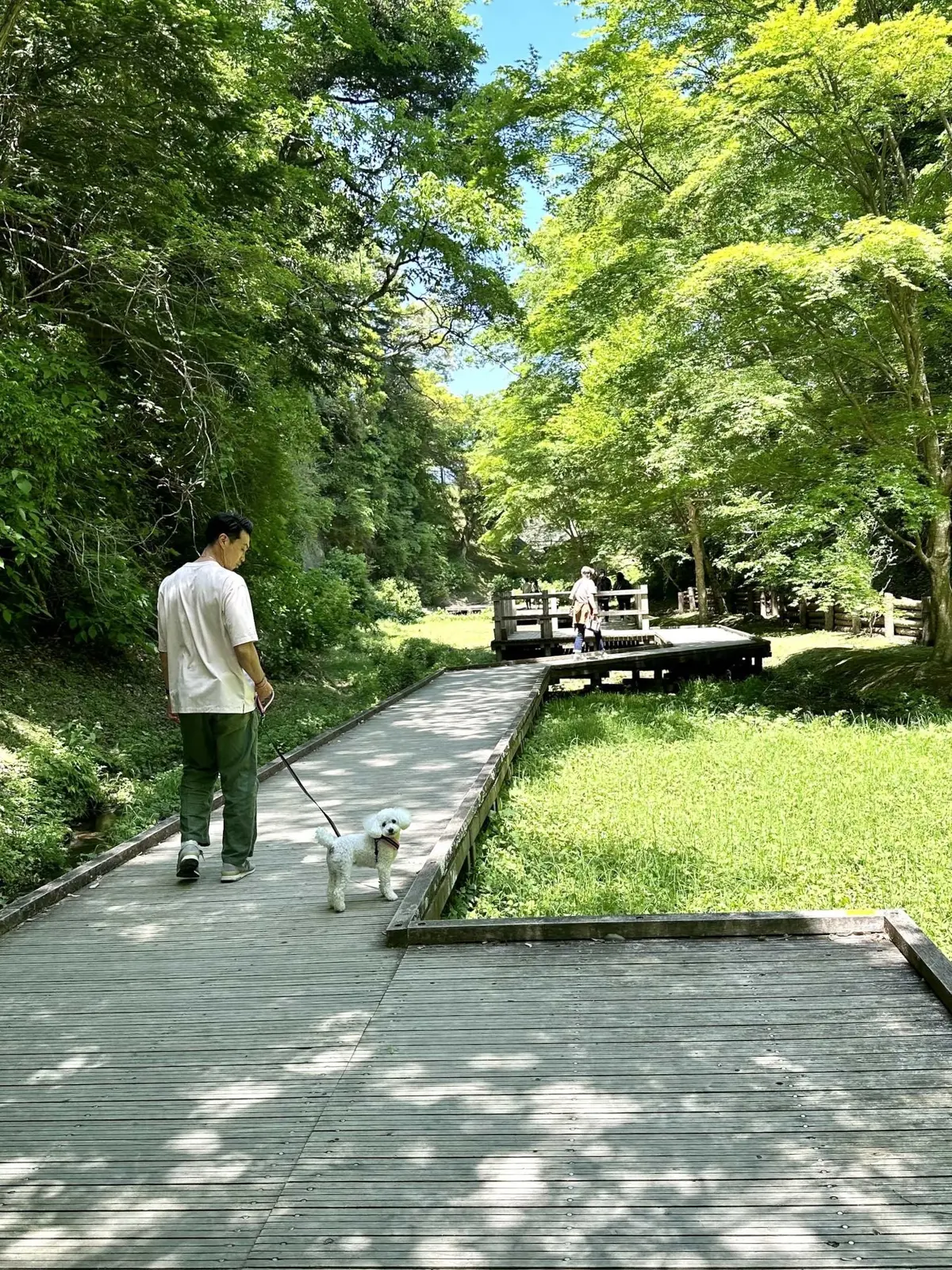 気軽におしゃれが楽しめるUNIQLOワンの画像_8