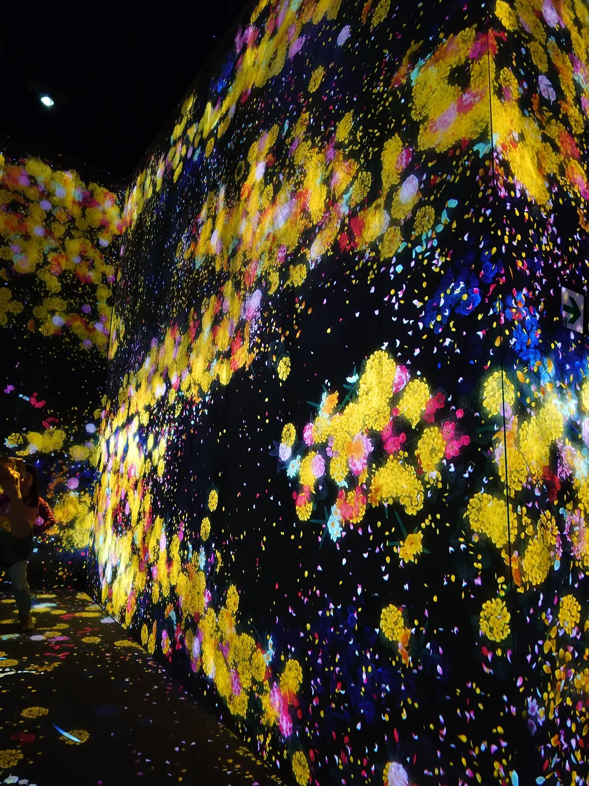 チームラボボーダレス