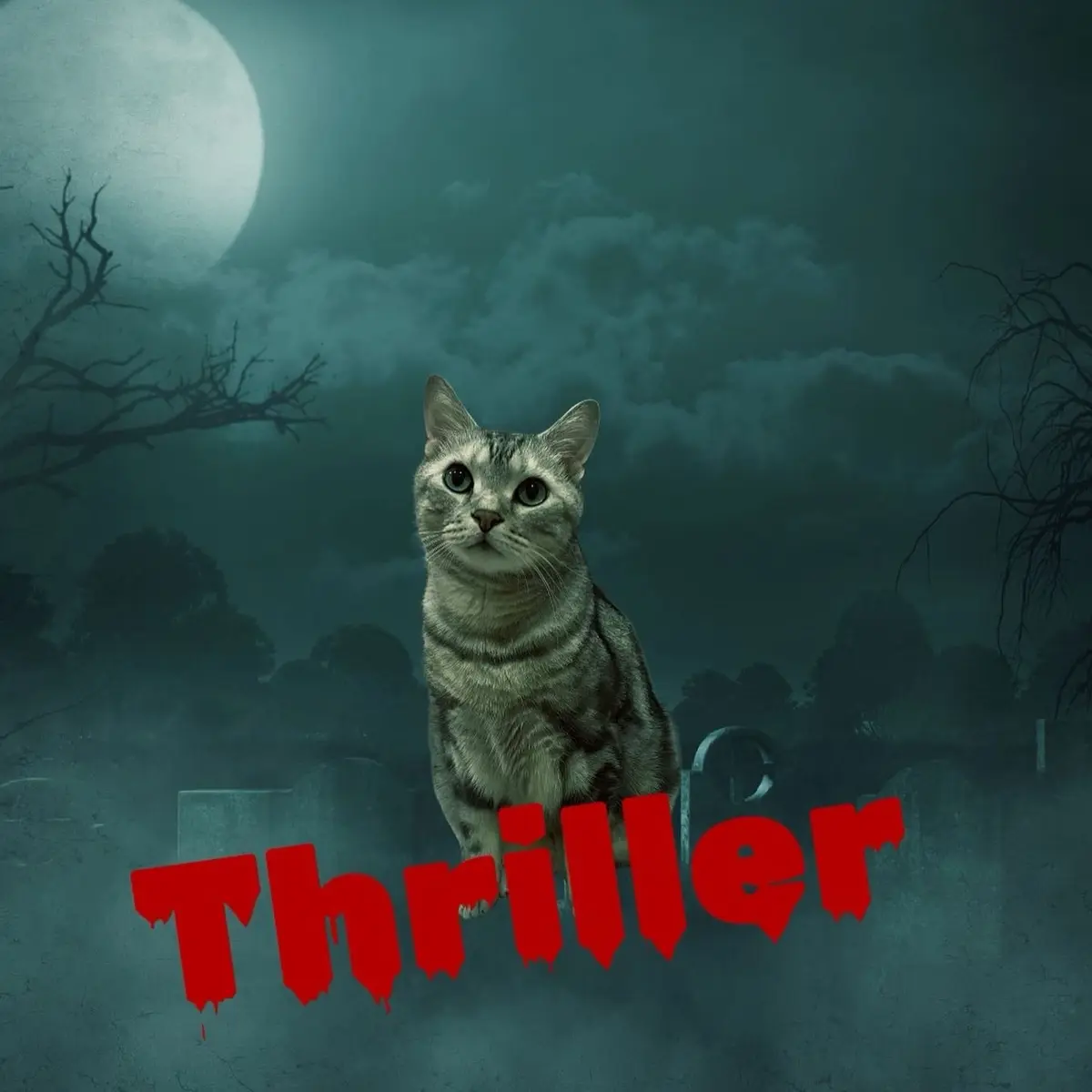 アプリ　Beautiful plus ホラーポスター