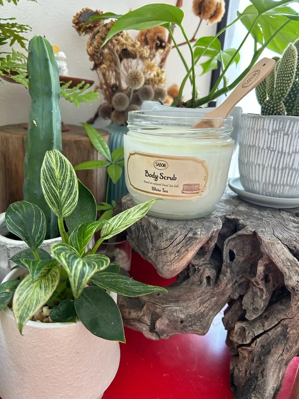 夏の肌見せにおすすめなボディスクラブの画像_1