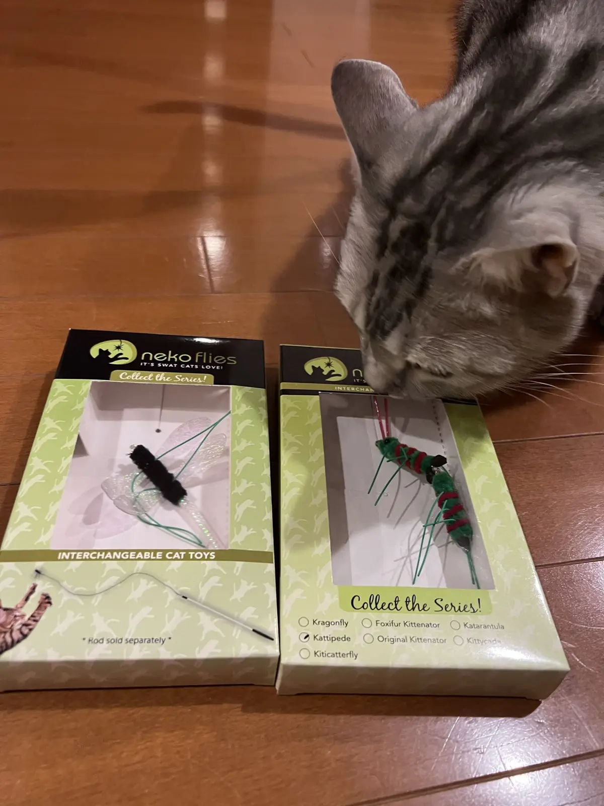 誕生日プレゼントは虫のオモチャ