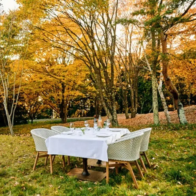 森の中でのさまざまな食体験「ターブル・ナチュール」も充実。