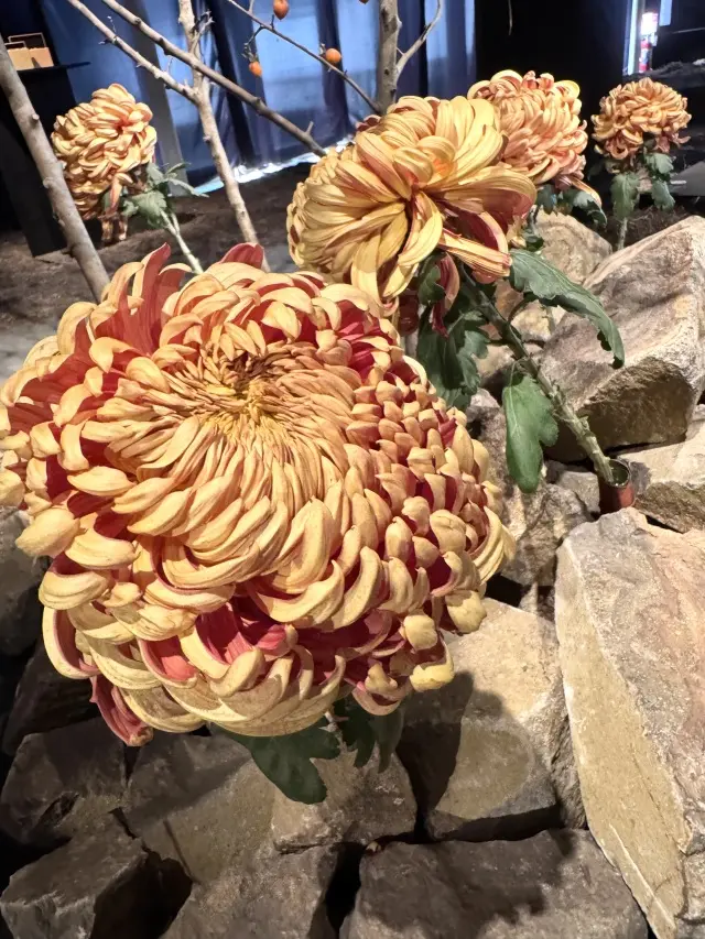 【スペシャルラッキーDay】お花に囲まれの画像_13