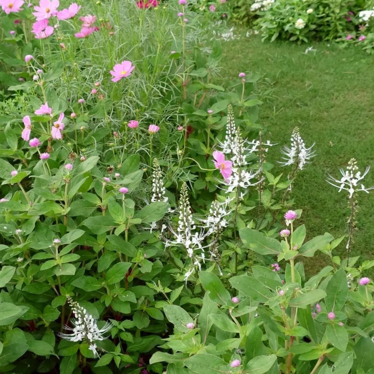 里山ガーデンフェスタ