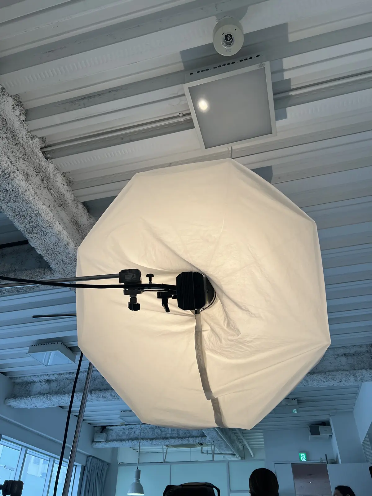 涼やかな鼻を目指して…撮影してきました♪の画像_1