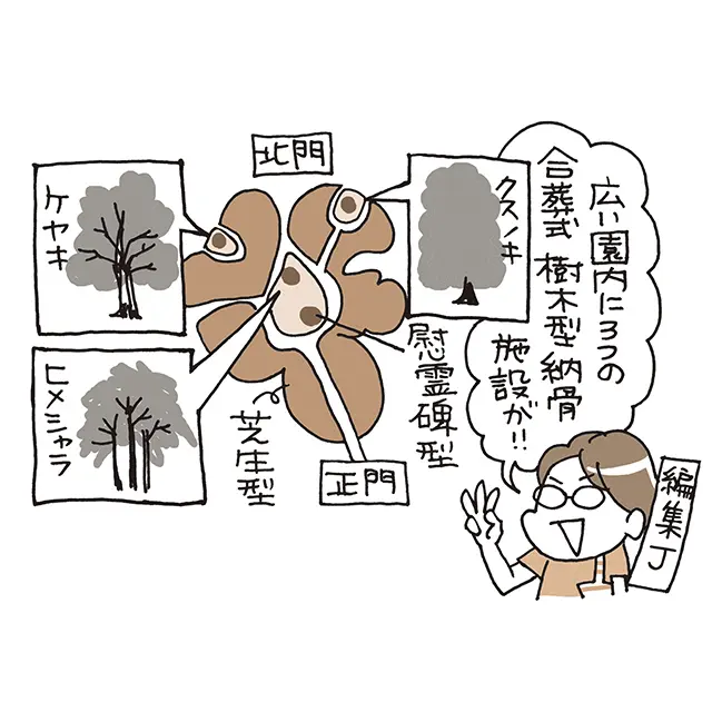 木が植わるマウンドの土中に合葬