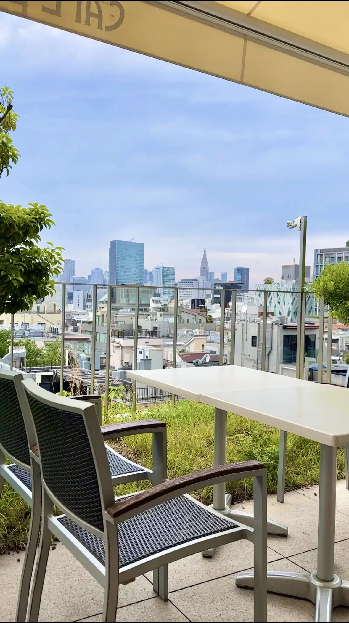 表参道「SABATINI」で過ごす、初夏の画像_12