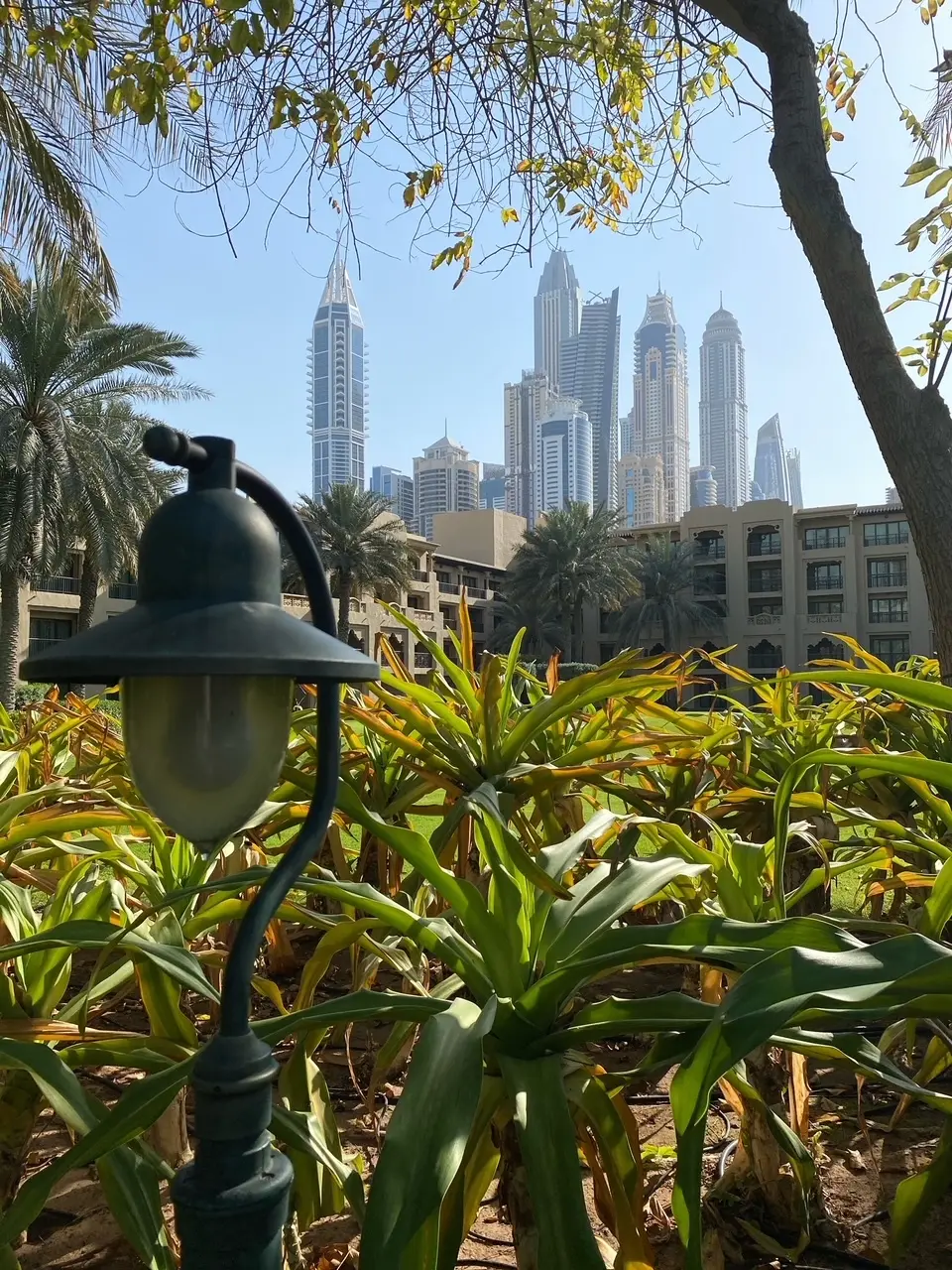 大人のリゾートホテルお部屋&Gardenの画像_11