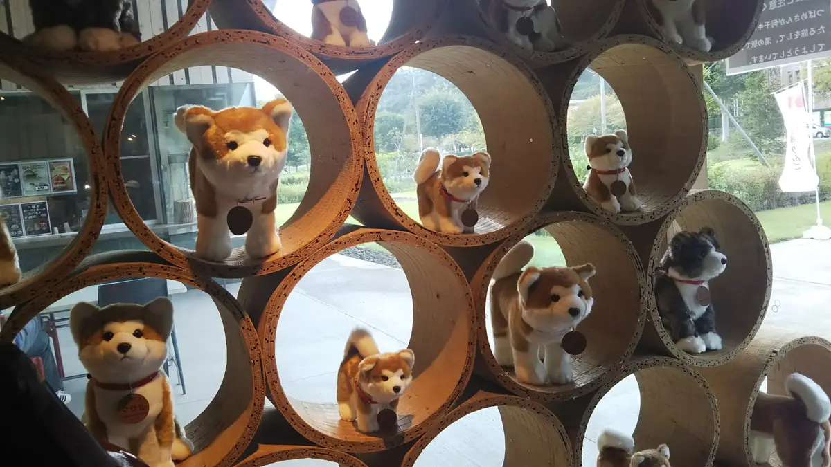 道の駅おおゆ　秋田犬マサル