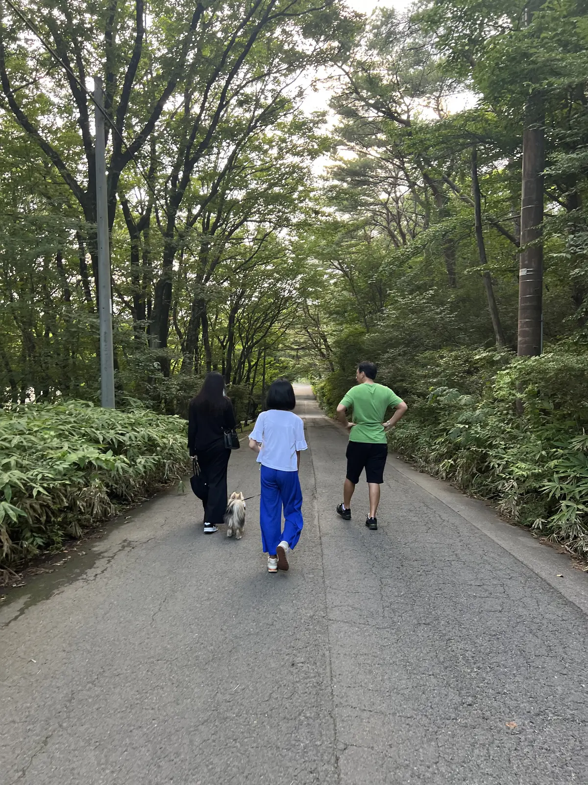 涼しいので宿の近所を朝から家族全員でお散歩する事もできました！