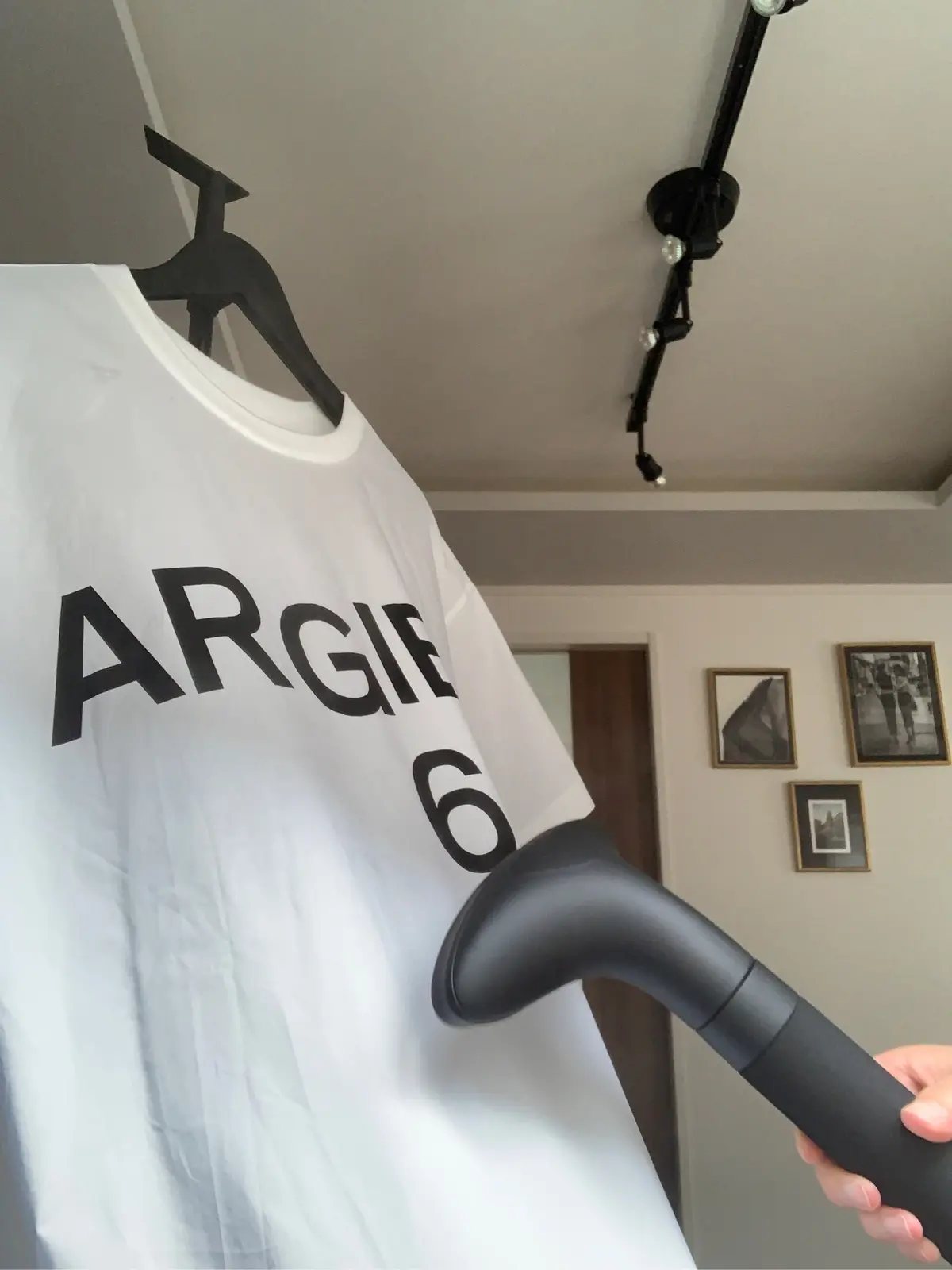 スタンド型衣類スチーマー、Tシャツ