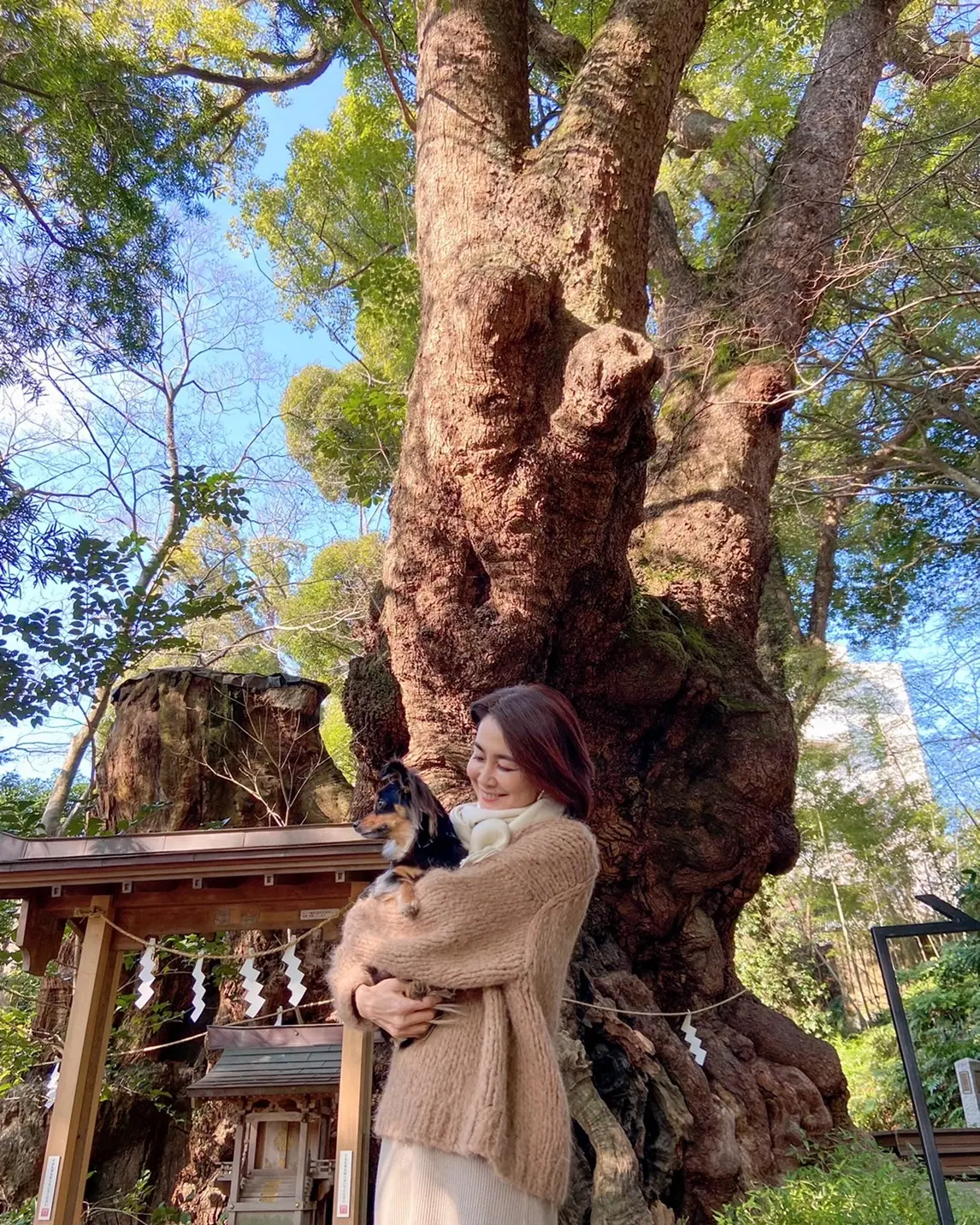 日本屈指のパワースポットへお参り♪の画像_2