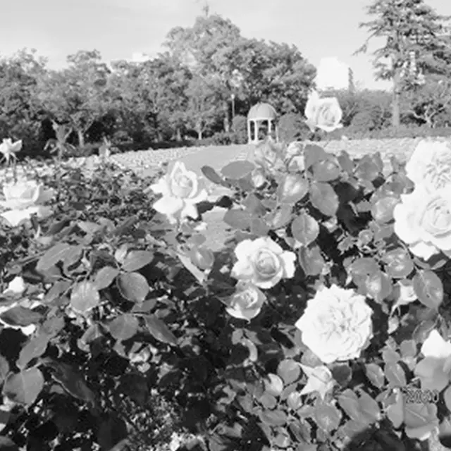 花と緑に囲まれ