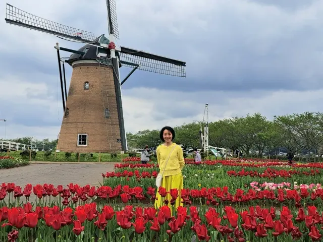 遅れてやってきたイエローブームの画像_13