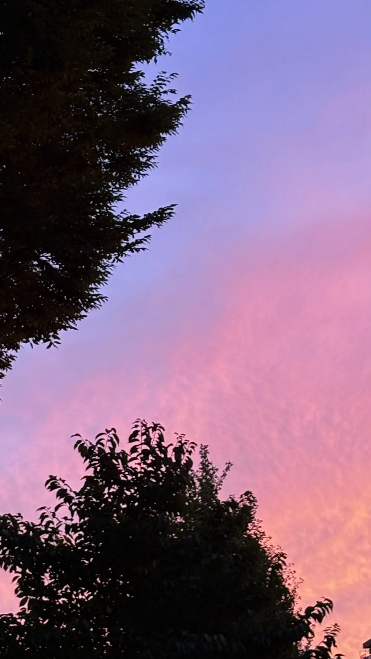 あきのそら　秋の空　夕焼け　夕焼け空　キレイな空