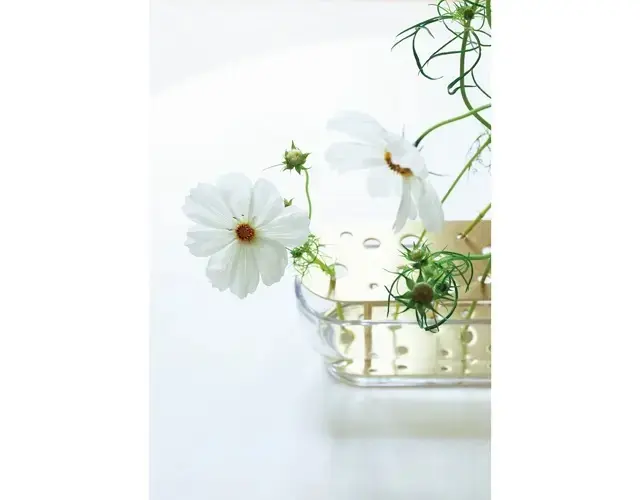 花は豪華でカラフルなものより、野花が好み。