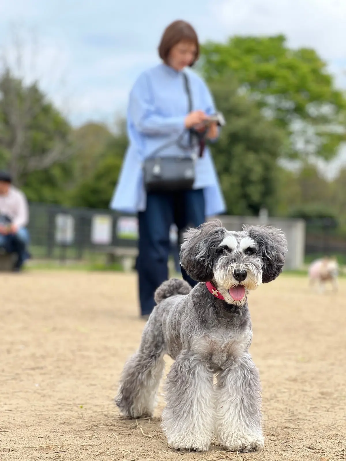 昭和記念公園ドッグラン