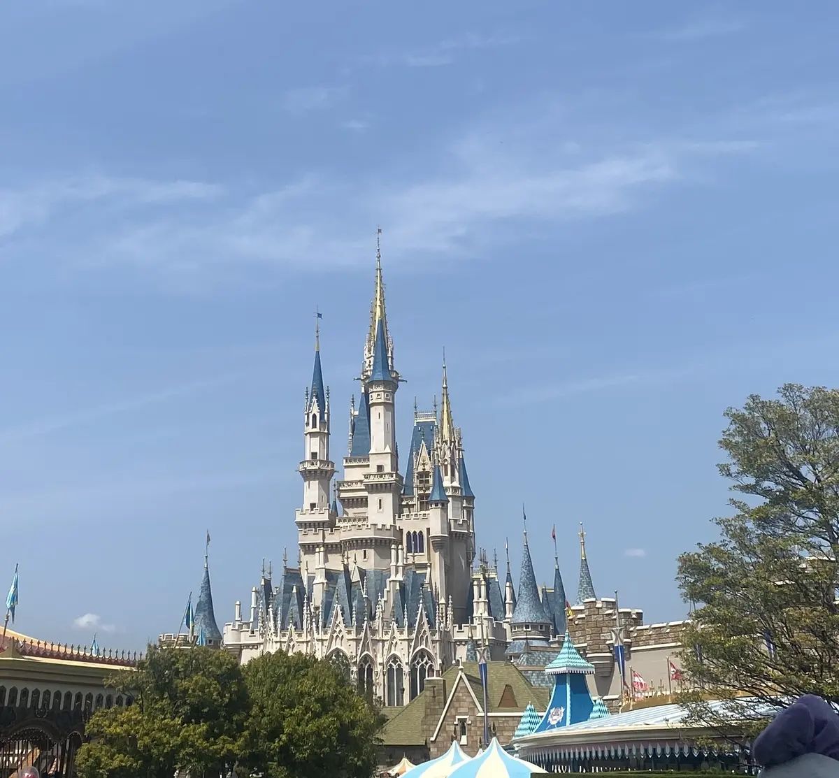 裏側のシンデレラ城が実は好き！