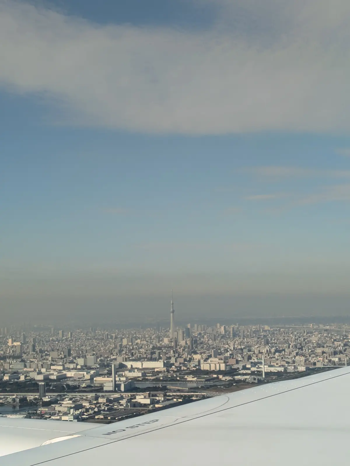 ２０２４年クリスマス直前！！【東京ディズの画像_1