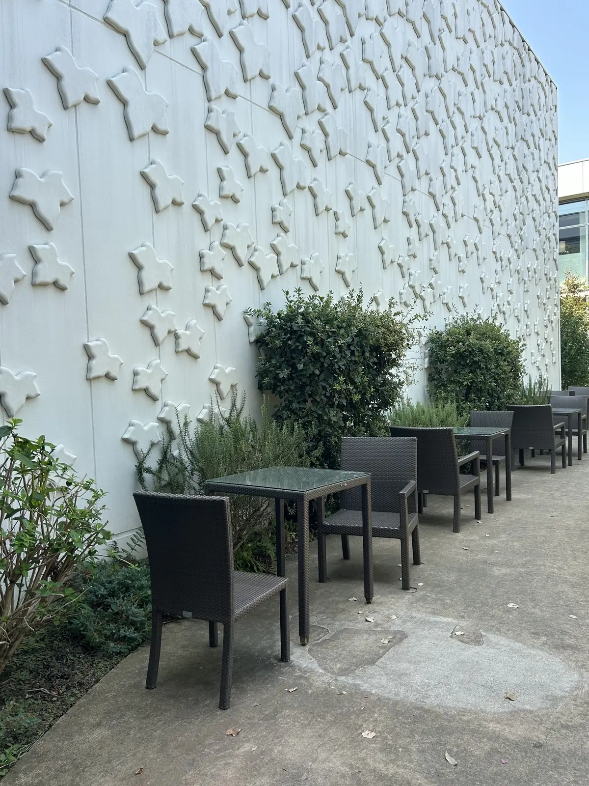 湘南 T-SITE  蔦屋書店　スターバックス