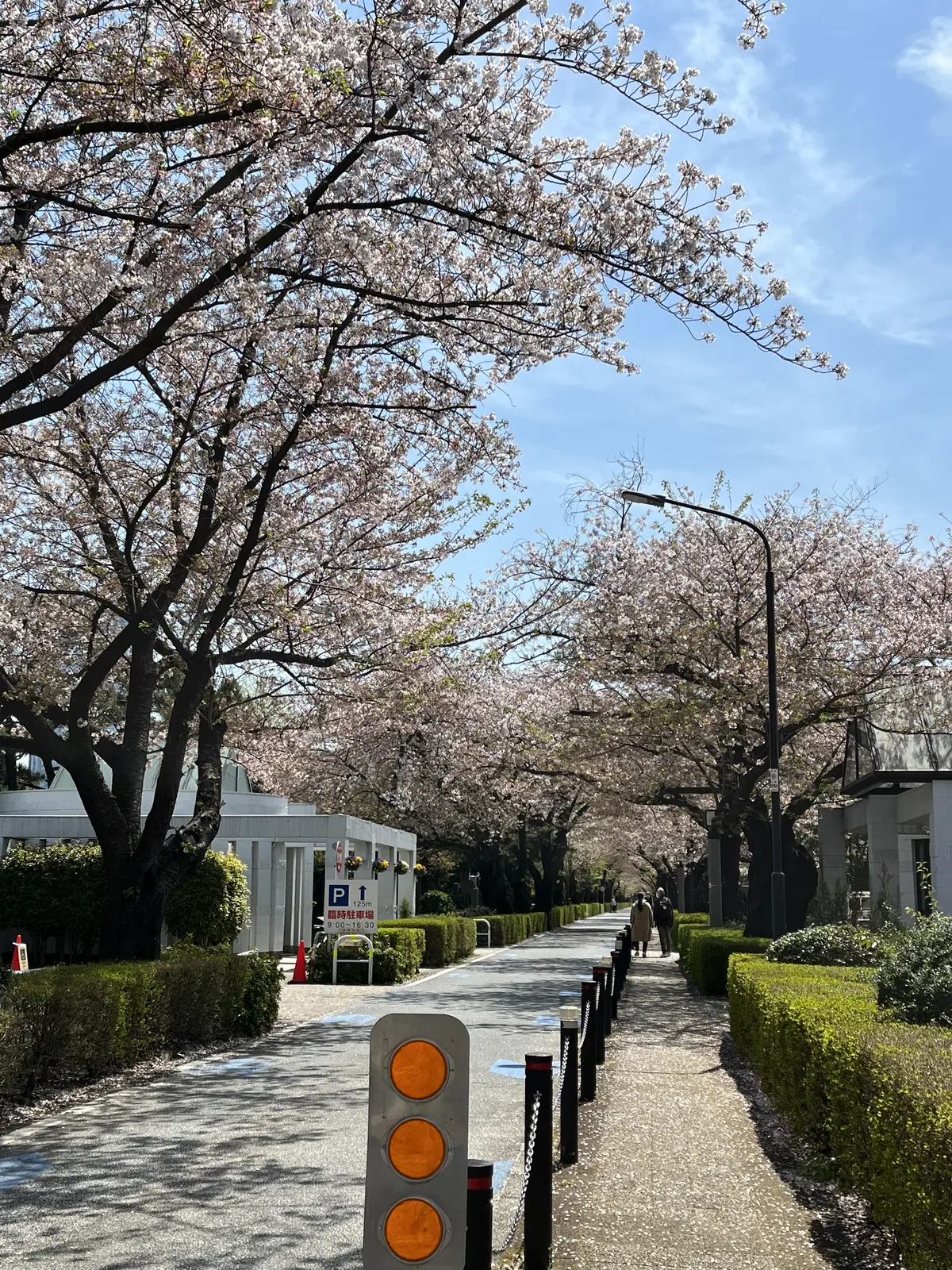 【おでかけ】青山～表参道パワースポットての画像_3