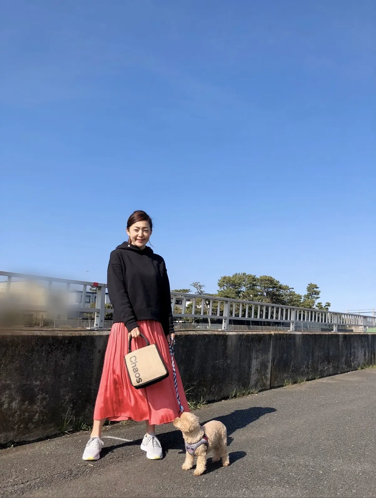 〝こでかけBAG〟&ひらりん華やぎスカーの画像_1