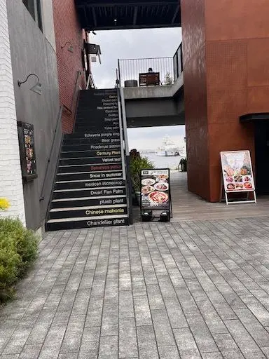 曇り空でも気持ち良い横浜みなとみらいの画像_5