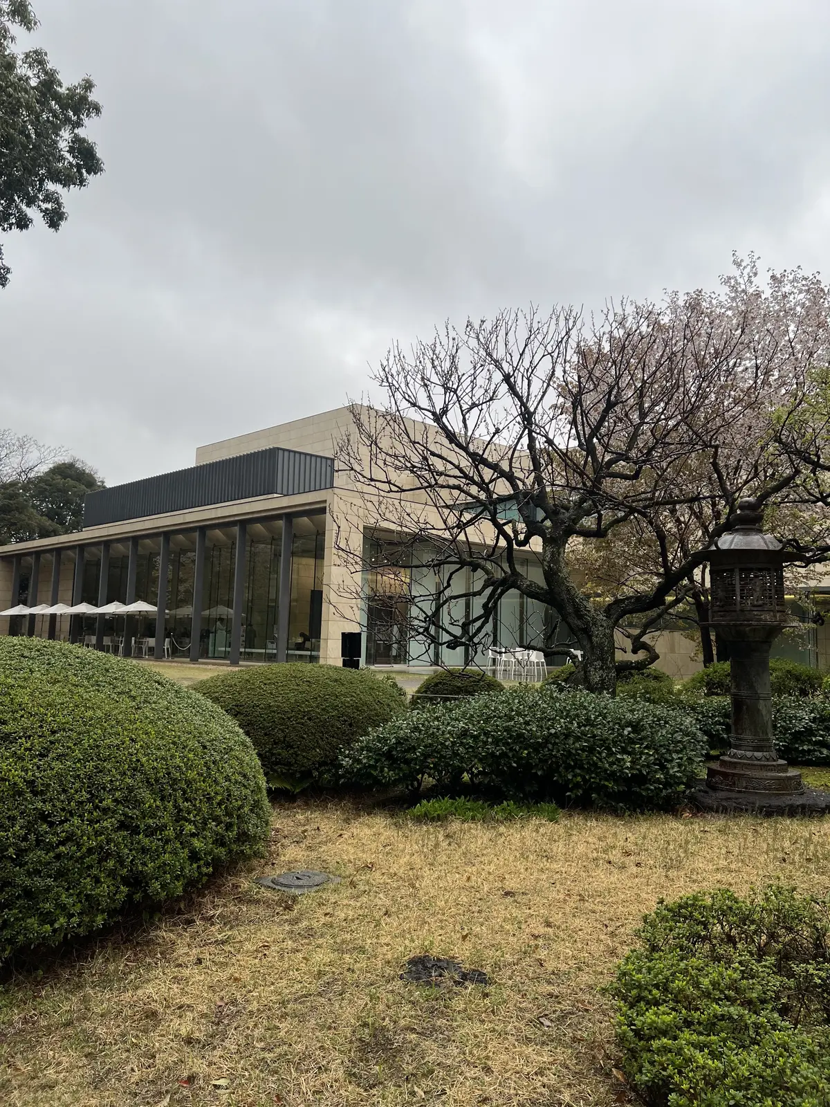 お庭から見た美術館のカフェ