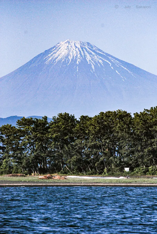 続編【さかぽんの大冒険】三色マグロ丼wiの画像_4