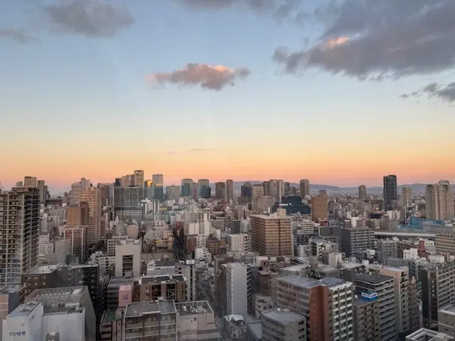 大阪　演奏会　オペラ　クラシック　帝国ホテル　ラウンジ　夜景　朝焼け　景色　旅行　演奏会　道頓堀　お好み焼き　とんてき　明石焼き　串カツ　大阪観光　TADASHI SHOJI　着物　ドレス