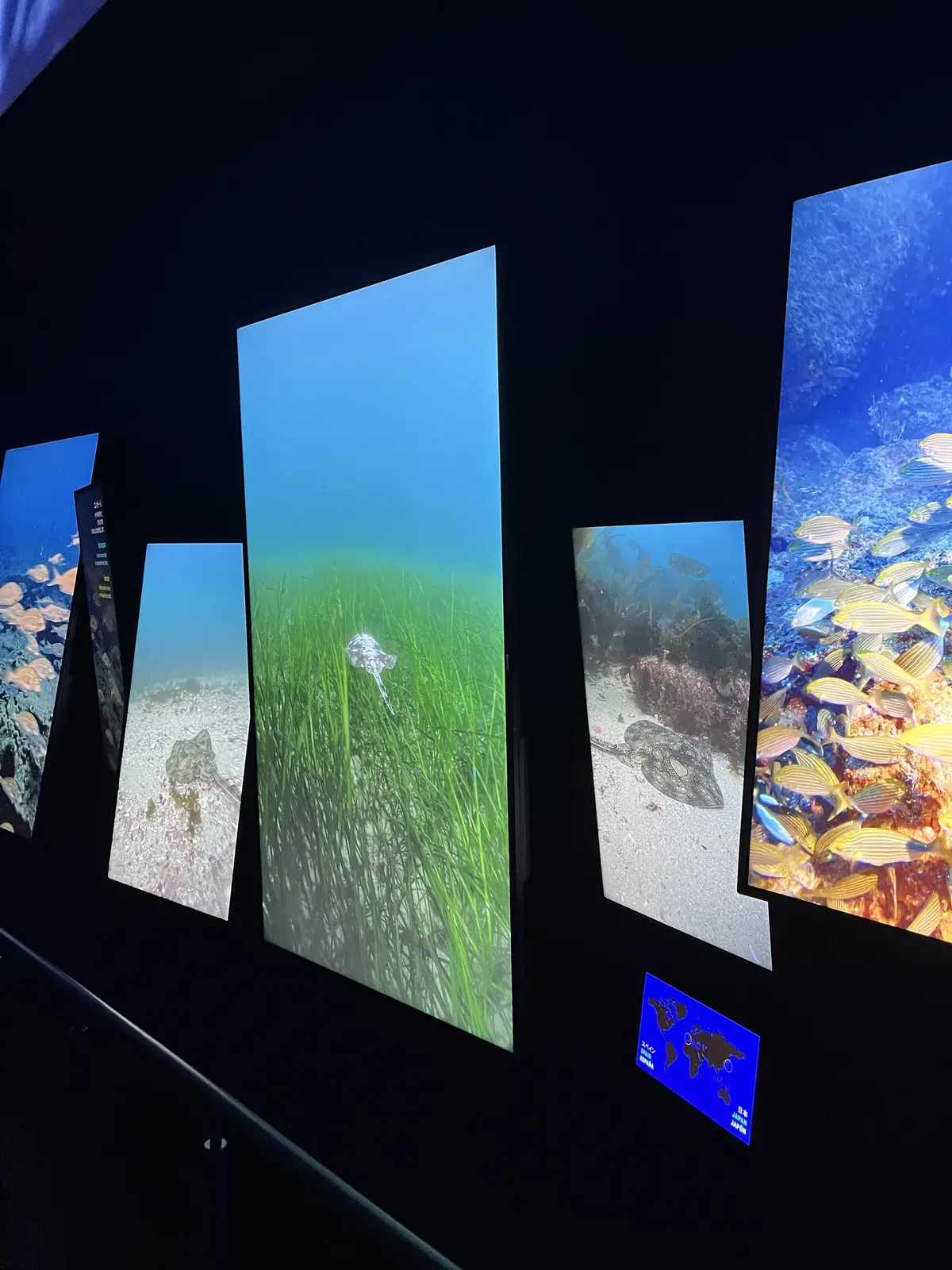 行きましょ！大阪・関西万博の画像_9